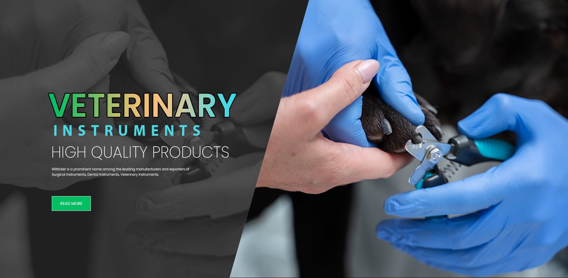 Veterinary instruments